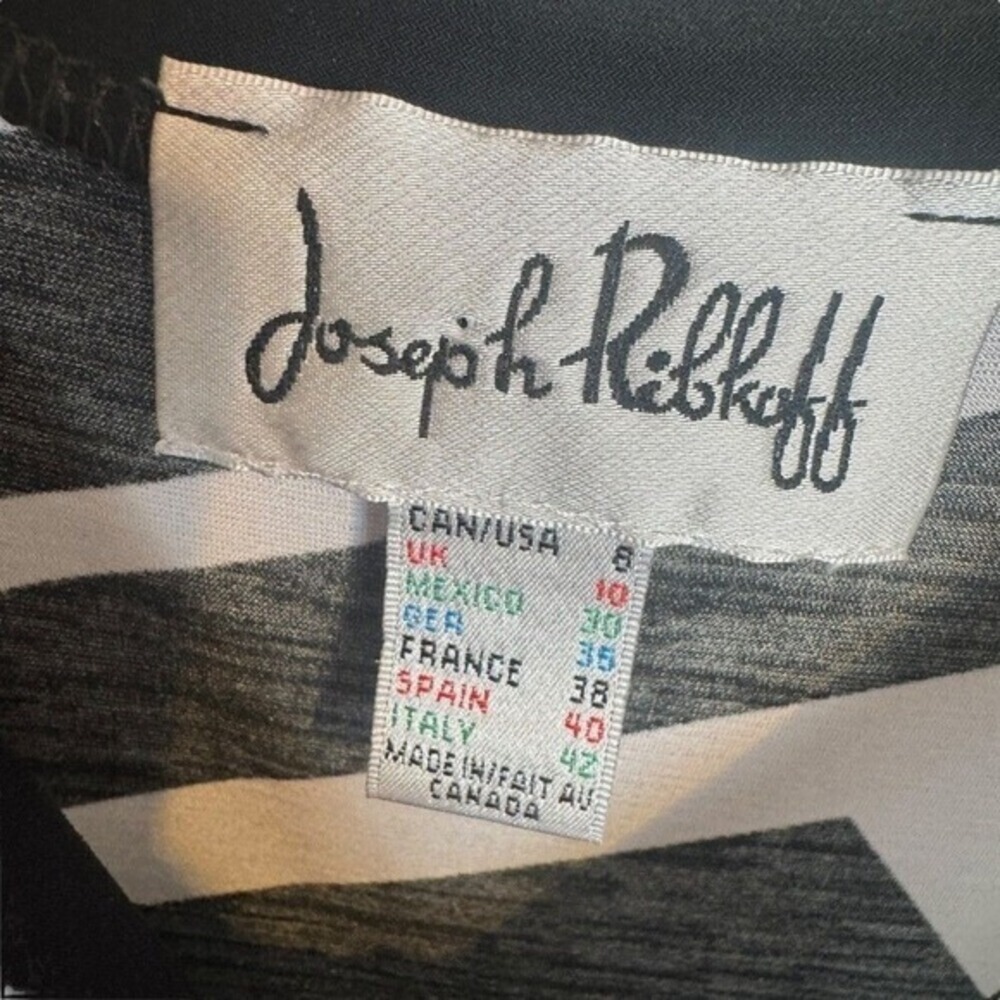 Joseph‎ Ribkoff Women's Size 8 Sleeveless Geometric Bubble Hem Dress Retro Artsy - Picture 3 of 10